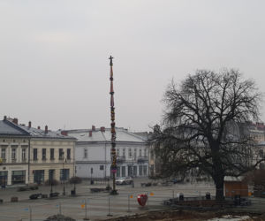 Ogromna palma wielkanocna na nowosądeckim Rynku 