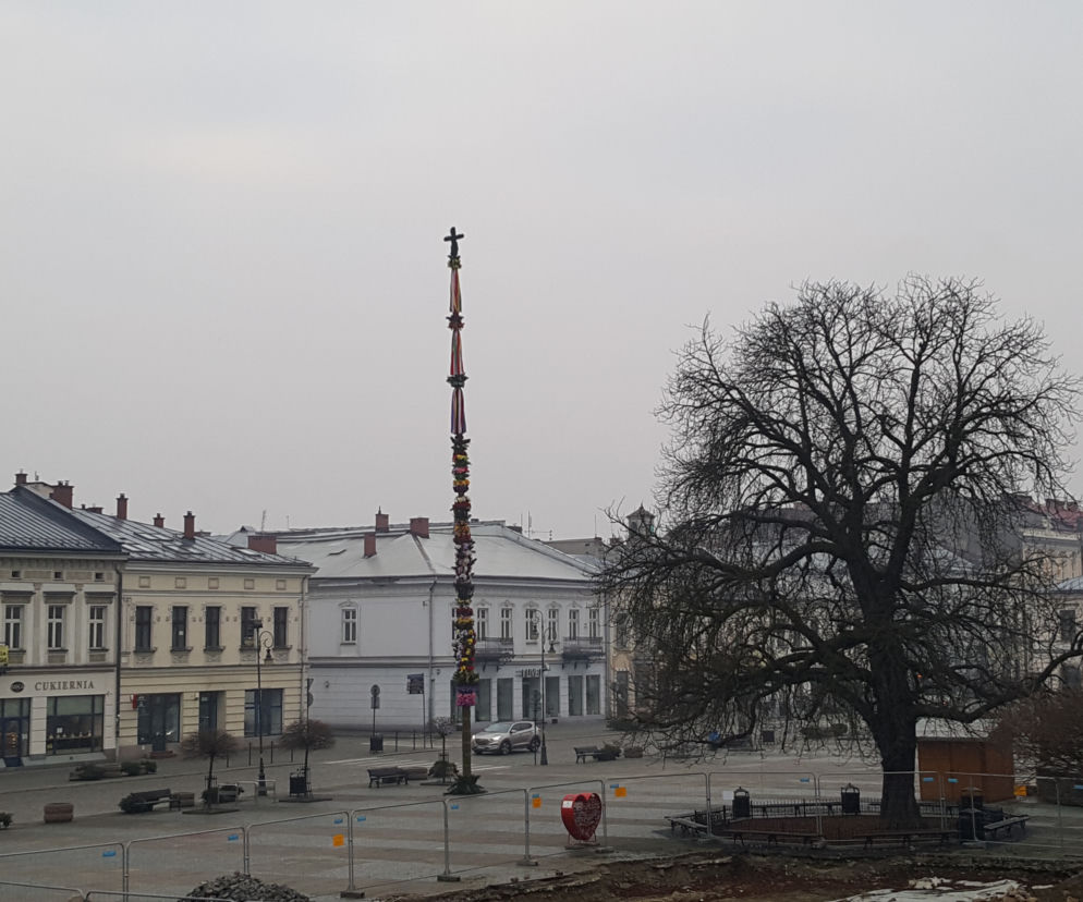 Ogromna palma wielkanocna na nowosądeckim Rynku 