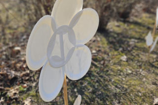 Wielkanocne szukanie jajek w Parku Braci Wieniawskich w Lublinie