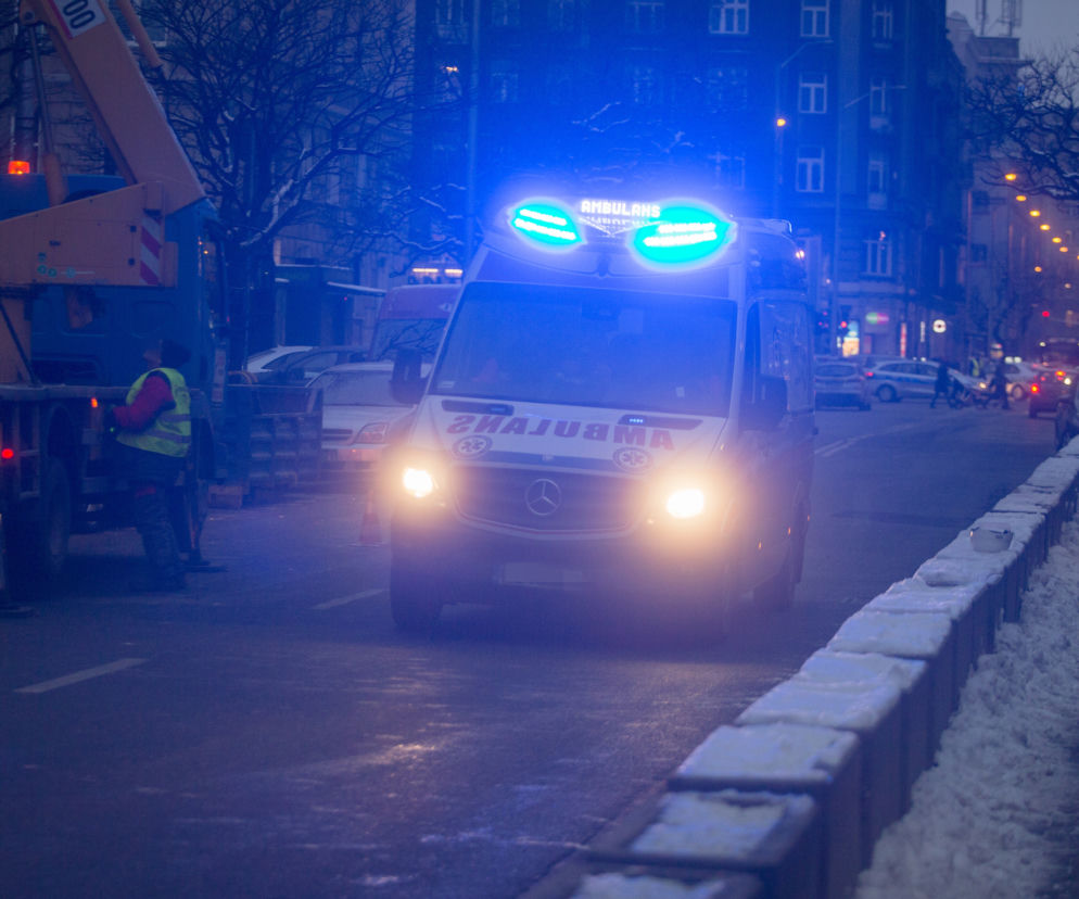 TRAGEDIA pod Wadowicami. Nie żyje mężczyzna PORAŻONY PRĄDEM podczas wycinki drzew