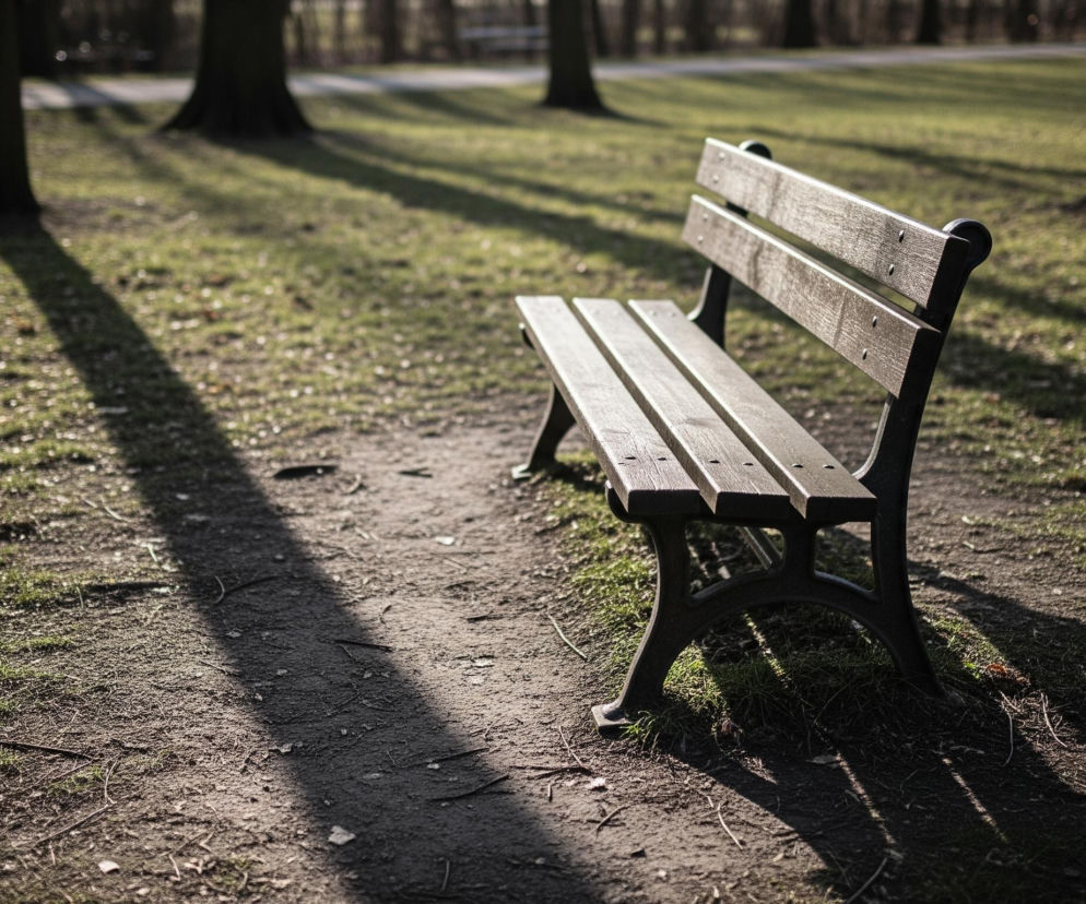 Drewniana ławka z ciemnym, metalowym stelażem, umieszczona jest w parku na tle trawiastej powierzchni i drzew. Słońce rzuca długie, ciemne cienie na ziemię pokrytą trawą i ziemią. Trawa w parku ma jasnozielony kolor, a ziemia jest brązowa.
