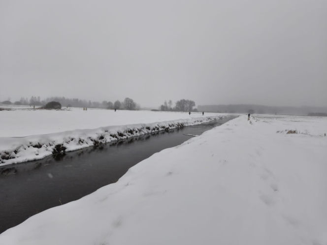 Tragiczna śmierć Emilii K. pod Włodawą. Wciąż więcej pytań niż odpowiedzi