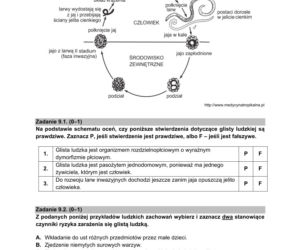 Matura próbna 2021: Biologia poziom rozszerzony. Arkusze CKE sprawdzisz TUTAJ