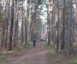 Popularne miejsca spacerowe w Toruniu