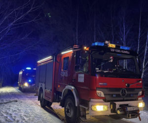 Pożar auta osobowego w Helenowie