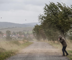 Silny wiatr na Dolnym Śląsku. Kto dostał ostrzeżenie od RCB?