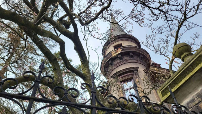 Szlak Kwitnących Magnolii