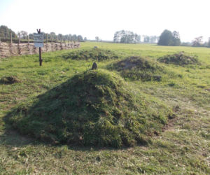 „Sekrety kurhanów z Grzybowa. Na tropie eksperymentu archeologicznego” – wykład w Muzeum Pierwszych Piastów na Lednicy