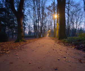 Który z wrocławskich parków Ty lubisz najbardziej?