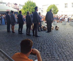 Peregrinus na Rynku w Lesznie