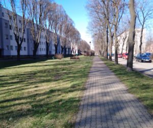 Mimo ładnej pogody niewiele osób wybiera się na spacer
