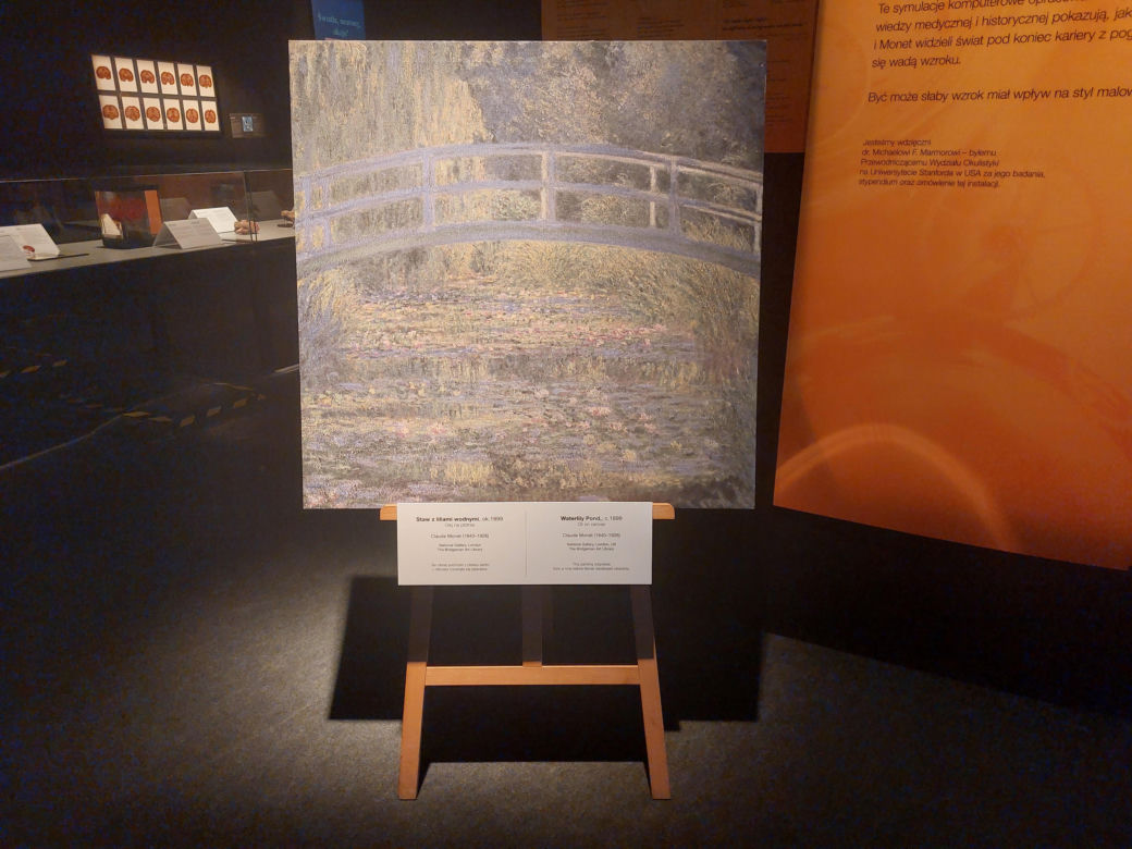 Wystawa Body Worlds w Szybie Wilson w Katowicach