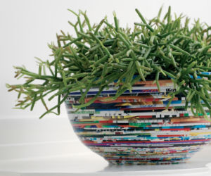 Rhipsalis