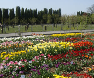 Ogród Botaniczny w Powsinie