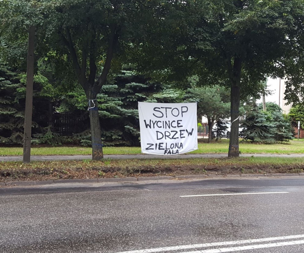 ​Co z petycją mieszkańców w sprawie drzew przy ul. Fabrycznej? Leży w urzędzie od miesiąca