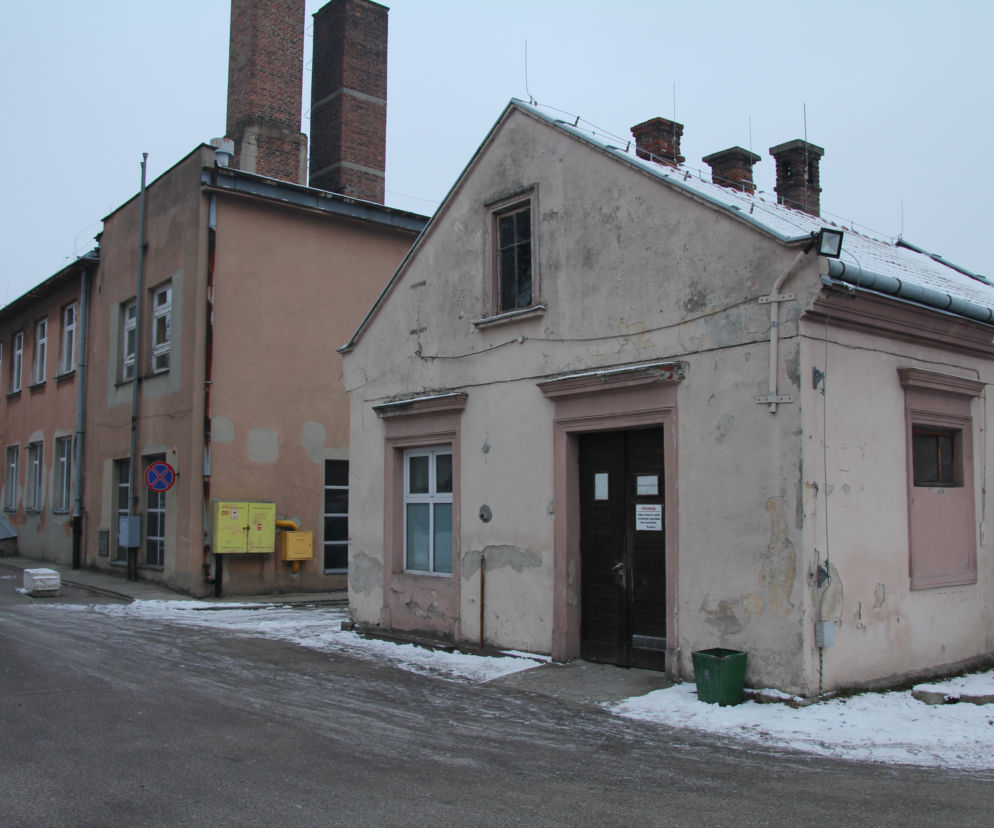 Szczury pożerają zwłoki w kostnicy