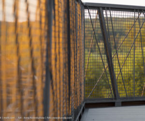 Most Europejski na Odrze w Siekierkach