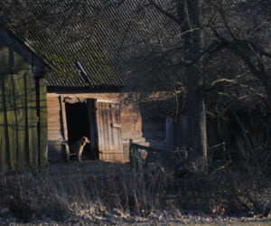 Magiczne Podlasie Południowe