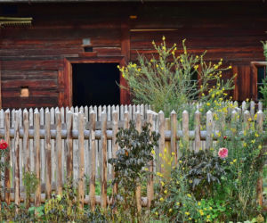 Bloki zamiast działek i koczowiska Romów. Takie zmiany  przy ul. Lechickiej dopuszcza projekt Planu Ogólnego