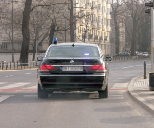 Z drogi śledzie Borsuk jedzie