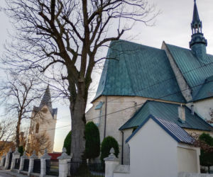 Szaniec. Świętokrzyskie