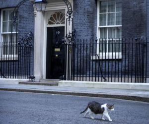 Winne piątki w siedzibie premiera Wielkiej Brytanii. Boris Johnson znienawidzony. Odejdzie?