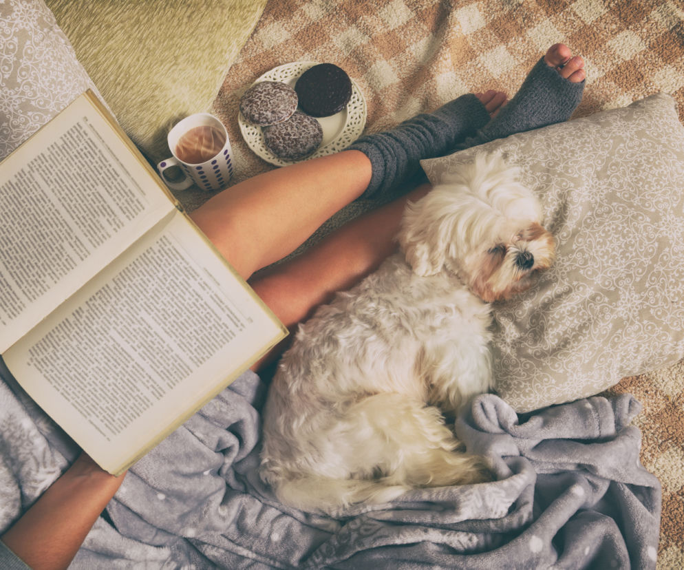 hygge