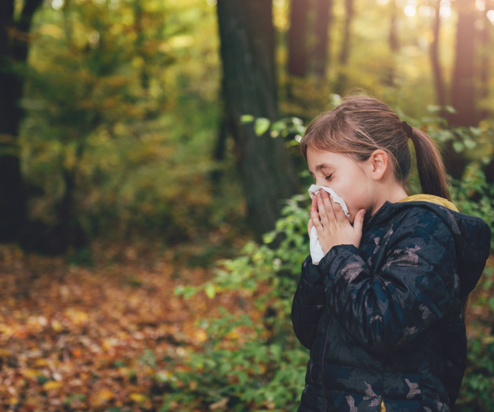 Alergia na grzyby i pleśnie – objawy i leczenie 