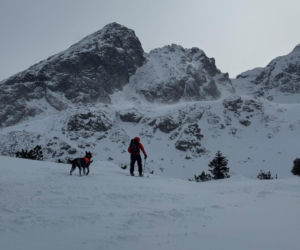 Poszukiwania turysty w Tatrach