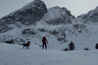 Poszukiwania turysty w Tatrach