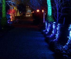 Bajkowe iluminacje w Ogrodzie Botanicznym we Wrocławiu