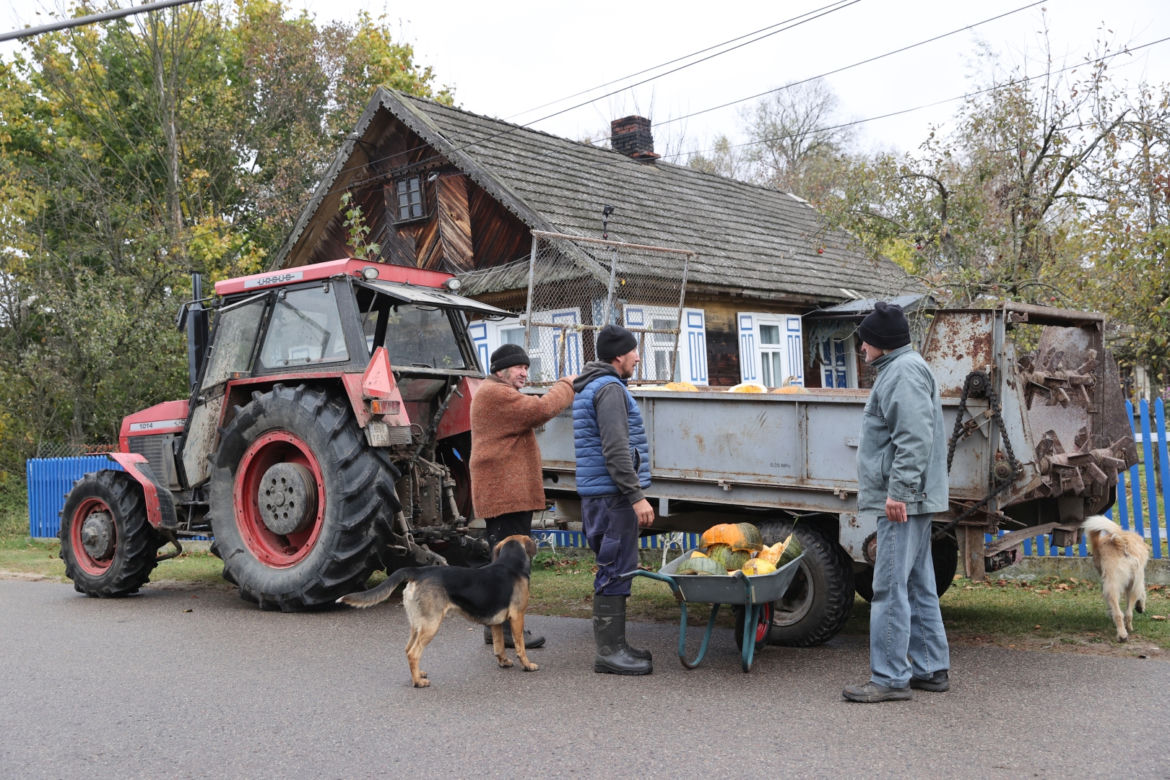 Rolnicy. Podlasie. Gienek, Andrzej i Sławek w Deniskach. Odbierają dynie