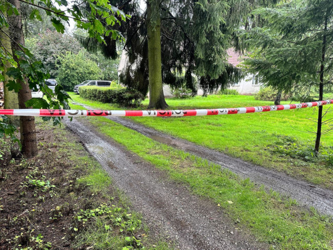 Zabił rodziców. Nie trafi za kratki