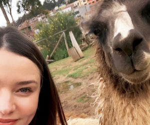 Lama zepsuła jej selfie