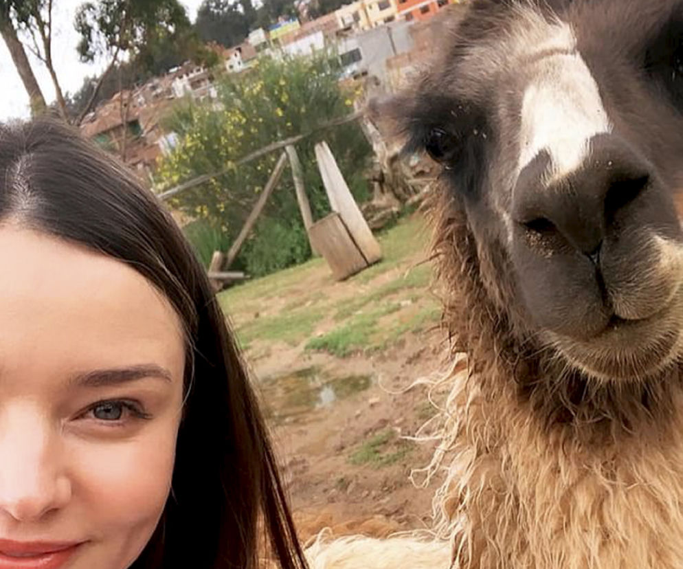 Lama zepsuła jej selfie