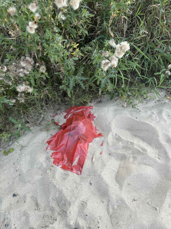 Makabryczne znalezisko nad Wisłą! Plażowicz wyłowił ludzką czaszkę
