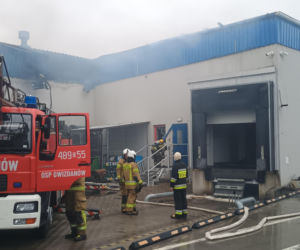 Straty będą wielomilionowe. Trwa dogaszanie pożaru w zakładzie w Chróścinie [ZDJĘCIA]
