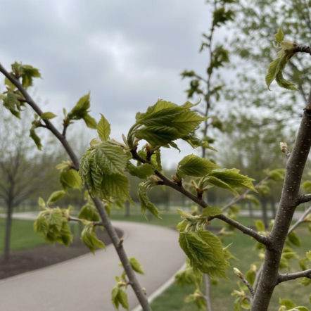 Pogoda na weekend w Białymstoku 24-26 kwietnia. Po ciepłej sobocie przyjdzie zimna i wietrzna niedziela