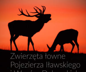 kalendarz powiatu
