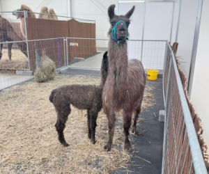 Zoopark Lublin 14.03.26