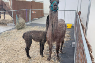 Zoopark Lublin 14.03.26