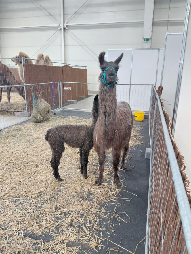 Zoopark Lublin 14.03.26