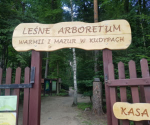 Leśne Arboretum Warmii i Mazur w Kudypach