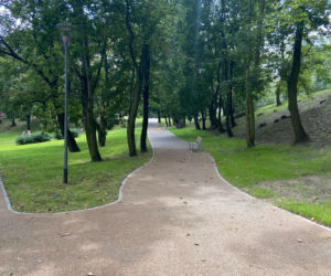 Park Drwęskich otwarty