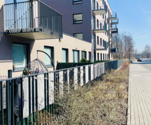 Katowice, osiedle mieszkań na wynajem przy Korczaka