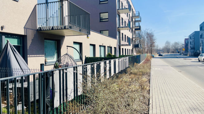 Katowice, osiedle mieszkań na wynajem przy Korczaka