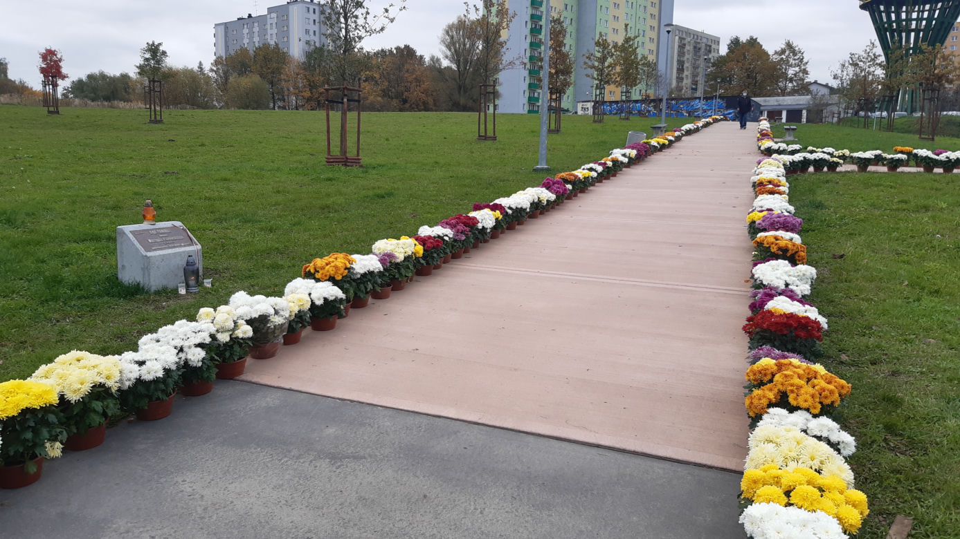 Dwa tysiące chryzantem ozdobiło park w Tarnowie