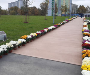 Dwa tysiące chryzantem ozdobiło park w Tarnowie