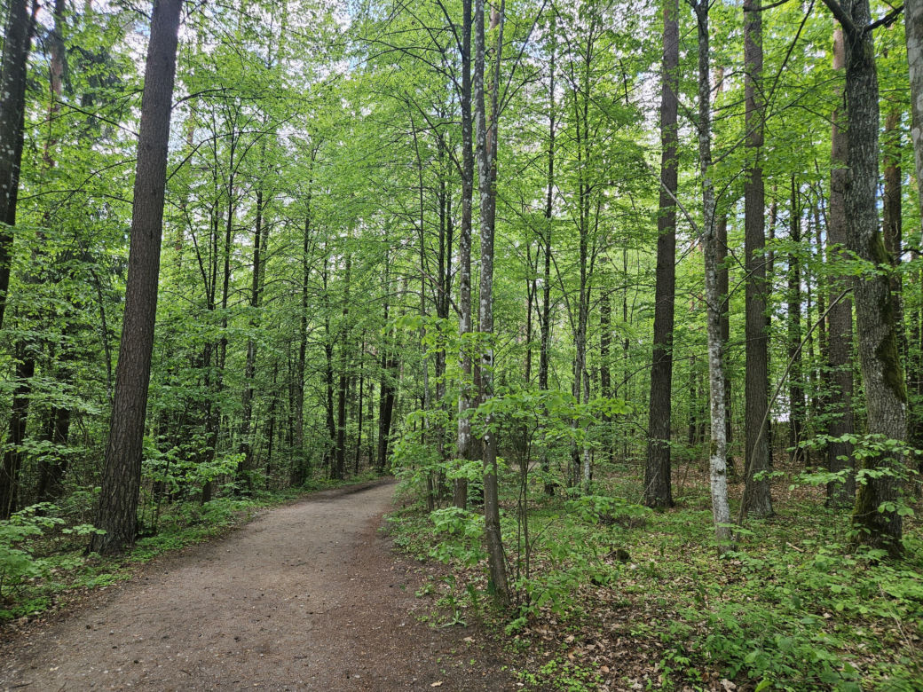Kopna Góra