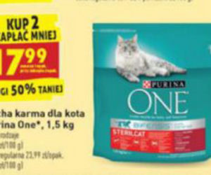 Szalone promocje na Dzień Kota w Biedronce